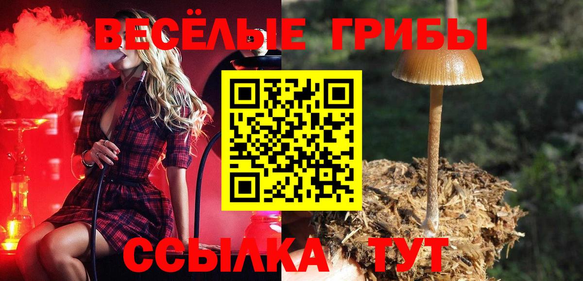 Псилоцибиновые грибы Cubensis  Вход с VPN  Медногорск 